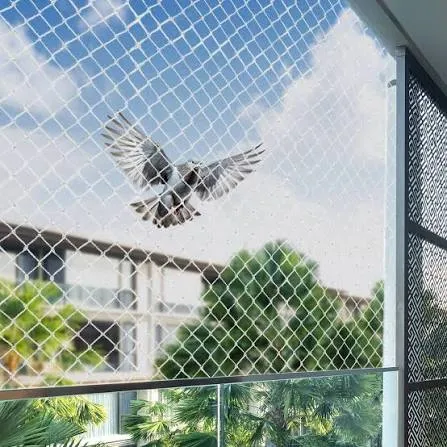 Pigeon & Bird Netting installation in Chennai